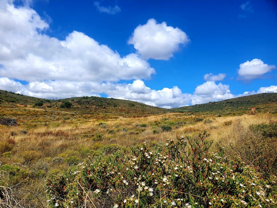 Commercial Property for Sale in Bonnievale Western Cape